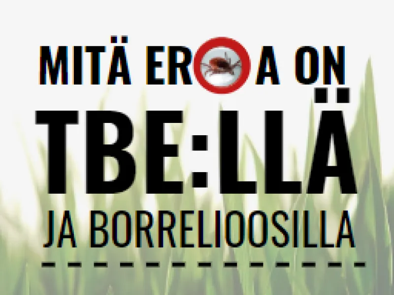 Mitä eroa on TBE:llä ja borrelioosilla?
